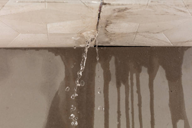Professional Sewage Cleanup technician working in Walton, KY